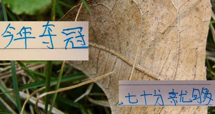 九游官网-心痛去年申花一下 ！今年中超冠军大概70分左右就可以 ！甚至更低